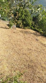 660m² Land in Huesca, Spain No. 68124 - Image 21