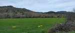 6 bedrooms House in Bonar, Spain No. 68159 - Image 38