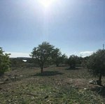 2689m² Land in La Muela, Spain No. 68172 - Image 3