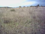10000m² Land in Leon, Spain No. 68259 - Image 3