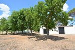 4 bedrooms House in Piedrabuena, Spain No. 69036 - Image 16