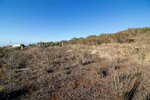 9807m² Land in El Rosario, Spain No. 69359 - Image 2
