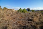 9807m² Land in El Rosario, Spain No. 69359 - Image 3