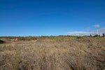 9807m² Land in El Rosario, Spain No. 69359 - Image 24