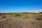9807m² Land in El Rosario, Spain No. 69359 - Image 32
