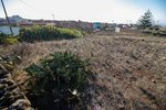 9807m² Land in El Rosario, Spain No. 69359 - Image 36