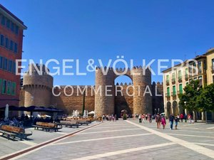 3888m² Commercial property in Avila, Spain No. 70339