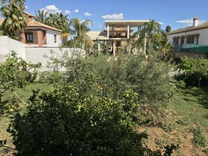 Land in Alhaurin el Grande, Spain No. 70947
