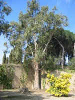 8 bedrooms House in Sant Vicenc De Montalt, Spain No. 71732 - Image 28