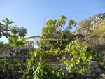 4 bedrooms Finca in Guia de Isora, Spain No. 730 - Image 7