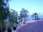 4 bedrooms Finca in Guia de Isora, Spain No. 730 - Image 15