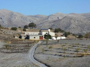 3 bedrooms House in Chirivel, Spain No. 7347