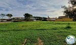 Land in Garriguella, Spain No. 73528 - land in Spain