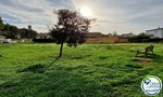 Land in Garriguella, Spain No. 73528 - Image 7
