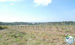 Land in Garriguella, Spain No. 73528 - Image 16
