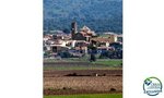Land in Garriguella, Spain No. 73528 - Image 21