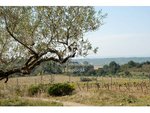 561m² Land in Garriguella, Spain No. 73536 - Image 16