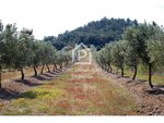561m² Land in Garriguella, Spain No. 73536 - Image 20