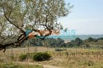 400m² Land in Garriguella, Spain No. 73537 - Image 4