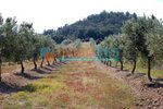 400m² Land in Garriguella, Spain No. 73537 - Image 5