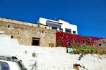 10 bedrooms Finca in Arico, Spain No. 740 - Image 12