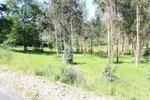 719m² Land in Vedra, Spain No. 74719 - land in Spain
