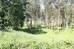 719m² Land in Vedra, Spain No. 74719 - Image 12