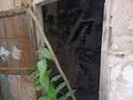 1 bedroom House in Son Servera, Spain No. 75392 - Image 17