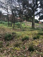 Land in Macanet De La Selva, Spain No. 75918 - Image 20