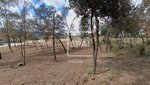 917m² Land in Seva, Spain No. 77599 - Image 19