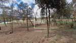 917m² Land in Seva, Spain No. 77599 - Image 20