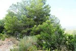 9586m² Land in Altea, Spain No. 777 - Image 7
