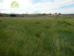 3700m² Land in Zamora, Spain No. 78801 - Image 7