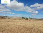 3700m² Land in Zamora, Spain No. 78801 - Image 23