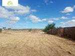 3700m² Land in Zamora, Spain No. 78801 - Image 37