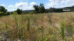 2739m² Land in Cacabelos, Spain No. 79695 - Image 4