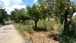 2739m² Land in Cacabelos, Spain No. 79695 - Image 5