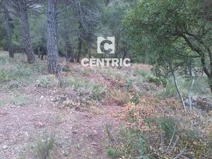 Land in Vacarisses, Spain No. 80189