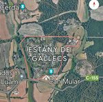 11 bedrooms House in Palau-Solita I Plegamans, Spain No. 80363 - Image 12