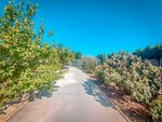 4 bedrooms House in La Carlota, Spain No. 80532 - Image 22