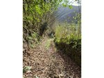 564m² Land in Laviana, Spain No. 81819 - Image 12