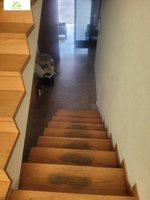 4 bedrooms House in Morales del Vino, Spain No. 81884 - Image 47