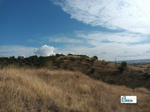 13891m² Land in El Molar, Spain No. 81890