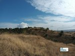 13891m² Land in El Molar, Spain No. 81890 - land in Spain