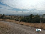 13891m² Land in El Molar, Spain No. 81890 - Image 2