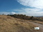 13891m² Land in El Molar, Spain No. 81890 - Image 3
