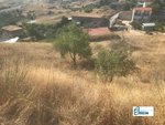 13891m² Land in El Molar, Spain No. 81890 - Image 4