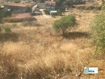 13891m² Land in El Molar, Spain No. 81890 - Image 5