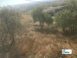 13891m² Land in El Molar, Spain No. 81890 - Image 6
