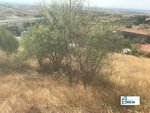 13891m² Land in El Molar, Spain No. 81890 - Image 10